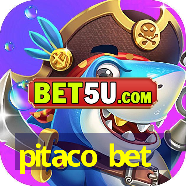 pitaco bet